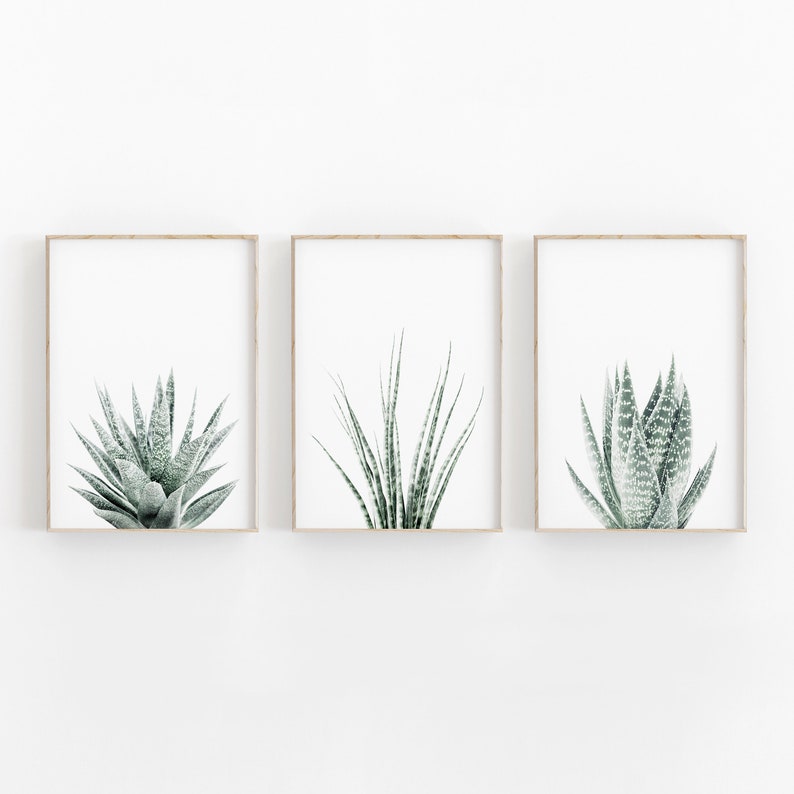 Succulent Print Set of 3 Botanical Print Printable Art - Etsy