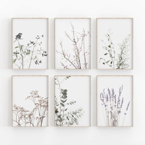 Botanical Print Set of 6, Farmhouse Wall Art, PRINTABLE Art, Photography, Printable Wall Decor, Poster