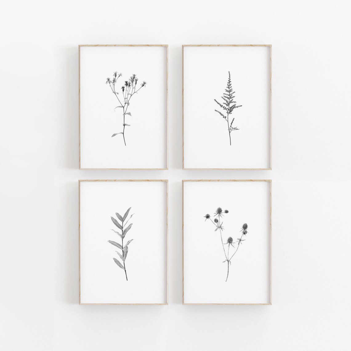 Botanical Print Set of 4 Farmhouse Print Printable Art | Etsy
