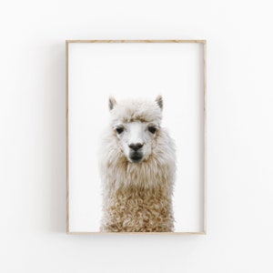 Lama print, alpaca muurkunst, AFDRUKBARE kunst, fotografie, afdrukbaar wanddecor, poster
