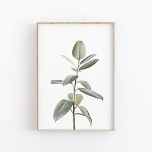 Botanical Print, Plant Wall Art, PRINTABLE Art, Photography Printable Wall Decor, Poster