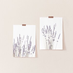 Lavender Print Set of 2, Botanical Print, Printable Art, INSTANT DOWNLOAD, Modern Minimalist Poster, Printable Wall Decor image 4
