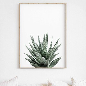 Succulent Print Set of 3 Botanical Print Printable Art - Etsy