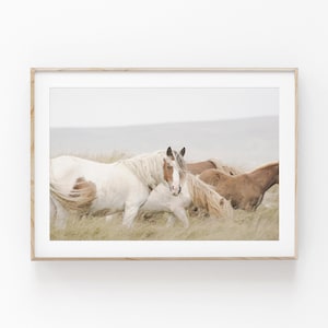 Horse Print, Farmhouse Art, Horses Wall Art, PRINTABLE Art, Photography, Printable Wall Decor, Poster