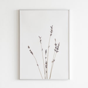 Lavender Print, Farmhouse Art, Modern Minimalist Poster, Printable Wall Decor image 4