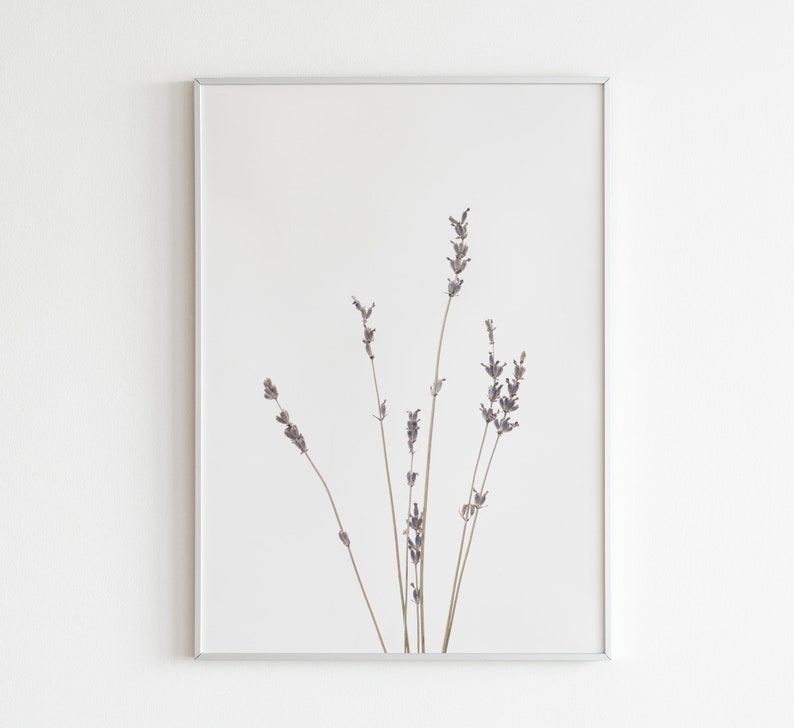 Lavender Print, Farmhouse Art, Modern Minimalist Poster, Printable Wall Decor image 4