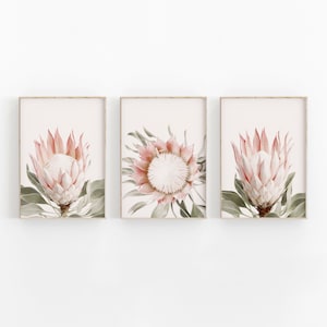 Protea Print Set of 3, Flower Wall Art, PRINTABLE Art, Photography Printable Wall Decor, Poster