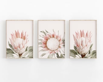 Protea Print Set of 3, Flower Print, Printable Art, INSTANT DOWNLOAD, Modern Minimalist Poster, Printable Wall Decor