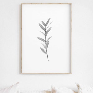 Botanical Print Set of 4 Farmhouse Print Printable Art | Etsy