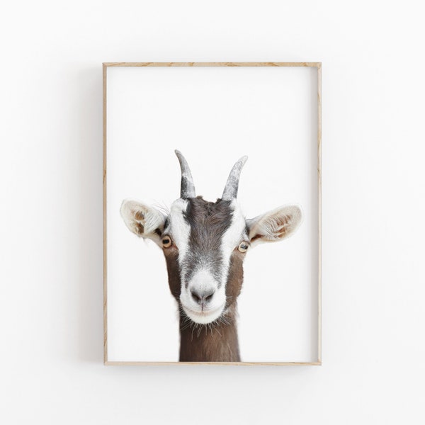 Goat Print, Instant Art, INSTANT DOWNLOAD, Modern Minimalist Poster, Printable Wall Decor