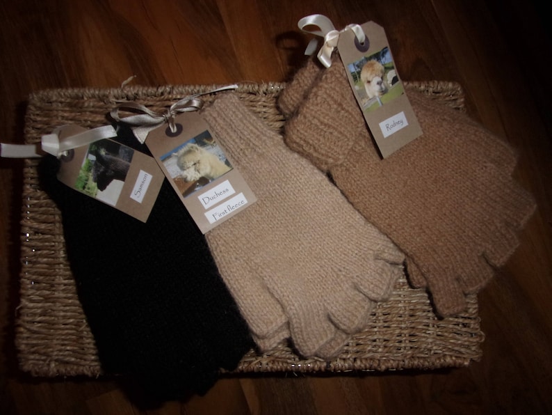 Adopt an Alpaca from Little Hamlet Alpaca Rescue. Perfect Gift for yourself or someone special 画像 7