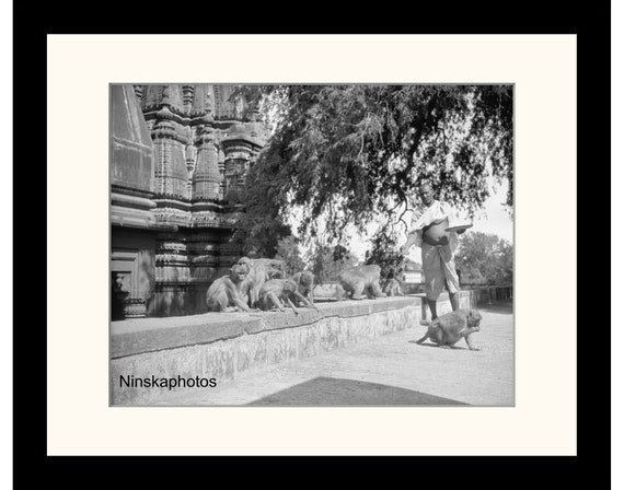 Monkey Temple, Durga, Benares, Varanasi, India Vintage Photo Reproduction by James Dearden Holmes - Historical Photo