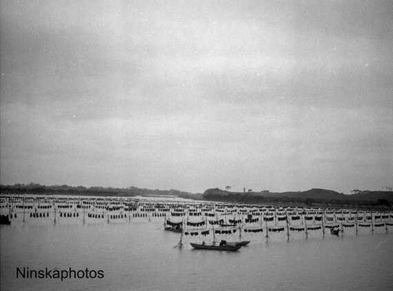 1920s River Fishing Nets en route from Macao to Canton (Guangzhou) China Antique Photo Reproduction - Vintage Photography - Black and White