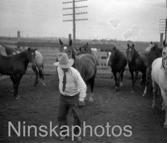 At the Rodeo, Colorado Springs, Colorado, United States, 1920s antique photo reprint, horses