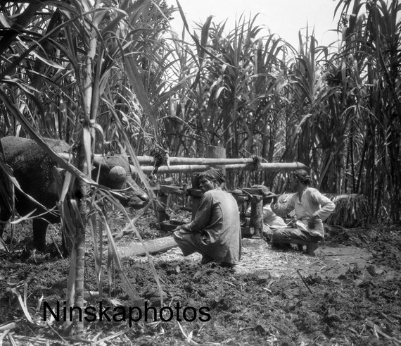 Village of Lawang - Native Sugar Mill - Rural Sumatra - Indonesia - 1925 - Fine Art Antique Photo Print - Vintage Photo - 3380