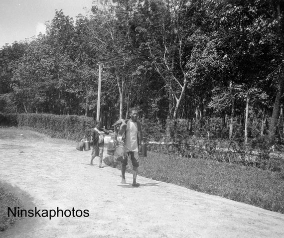 Rubber Plantation in Sumatra - Transporting Milk to Factory, Indonesia - 1925 - Fine Art Antique Photo Print - Vintage Photo - 3620