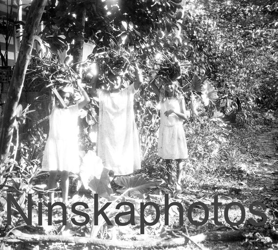 Belem, Para, Brazil, Three Wood Gatherers in the Amazon Forest, 1920s antique photo reprint, North Brazil, Brazilian History