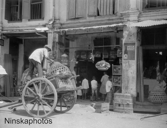 A Bird Market in Singapore - Vintage Photo Reproduction by James Dearden Holmes - Historical Photo