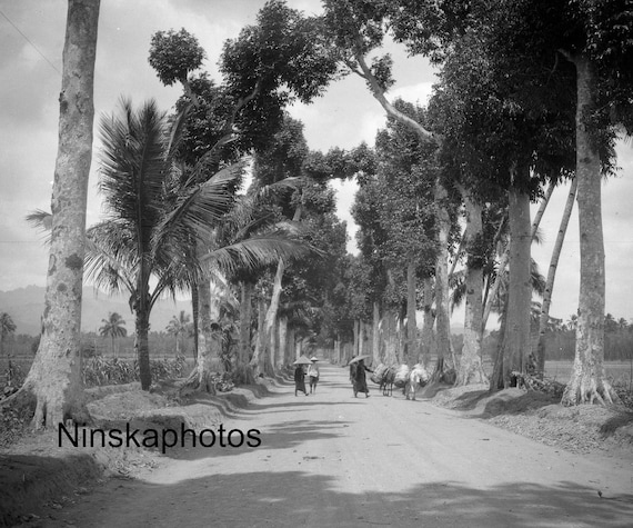 On the Road to the Temple of Borobudur - Java, Indonesia - Buddhist Temple - 1925 - Fine Art Antique Photo Print - Vintage Photo - 3230