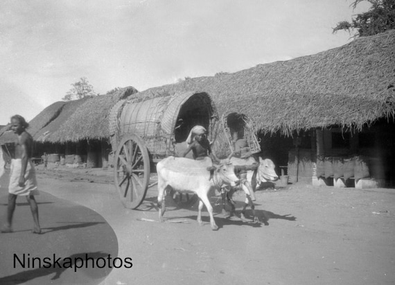 Tanjore Street Scene, India - Vintage Photo Reproduction by James Dearden Holmes - Historical Photo