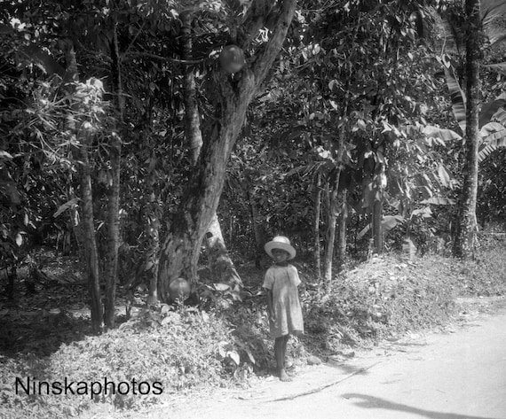 Blue Mountains - Young Girl under a Calabash Tree, Jamaica 1927 - Fine Art Antique Photo Print - Vintage Photo - 8094