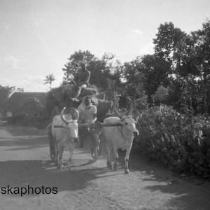 Bullock Cart, Tanjore Street Scene, India - Reproducción de fotos vintage por James Dearden Holmes - Foto histórica