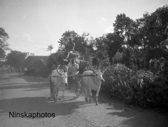 Bullock Cart, Tanjore Street Scene, India - Vintage Photo Reproduction by James Dearden Holmes - Historical Photo