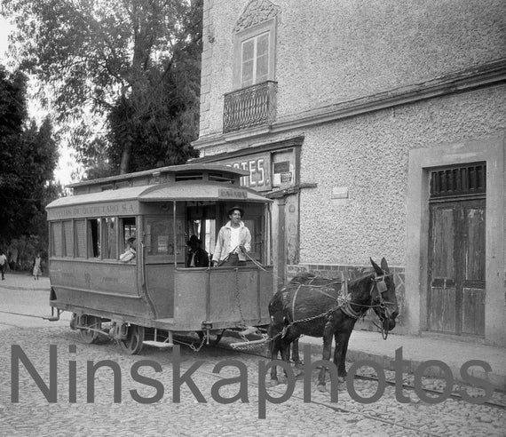 Queretaro, Mexico, A Two-Horse Tram, 1920s antique photo reprint, Local History, Vintage Photo, Mexico, Photo History, Streetcar