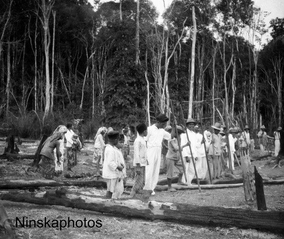 Rice Planters in Betoeng - West Kalimantan - Borneo - Indonesia - 1925 - Fine Art Antique Photo Print - BNW - Vintage Photo