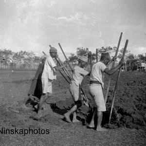 Balige, Sumatra - Ploughing with Forked Sticks - Batak Culture - Indonesia - 1925 - Fine Art Antique Photo Print - Vintage Photo