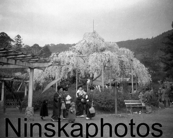 1920s Japan, Women and Children in Nara Park, Nara, Black & White Photography, 1920s antique photo reprint - Local History