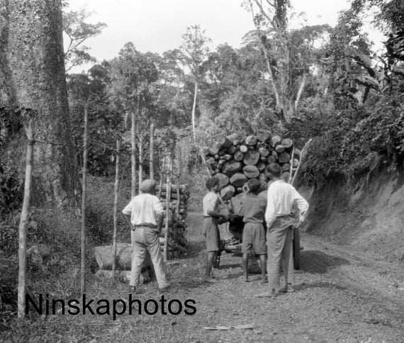 Fiji - between Lami and Suva - Loading Wooden Logs on the Road - 1925 - Fine Art Photo Print - Vintage Photo - Black & White