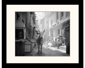 Old Benares, Varanasi, India Vintage Photo Reproduction by James Dearden Holmes - Historical Photo