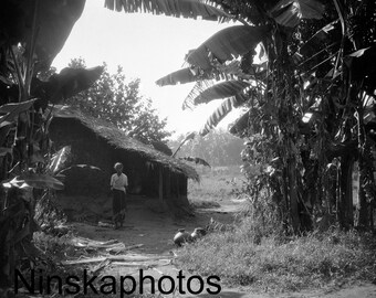 1920s Colombo, Ceylon, Sri Lanka, In the Cinnamon Gardens by J. Dearden Holmes, 1920s antique photo reprint, Vintage Photography