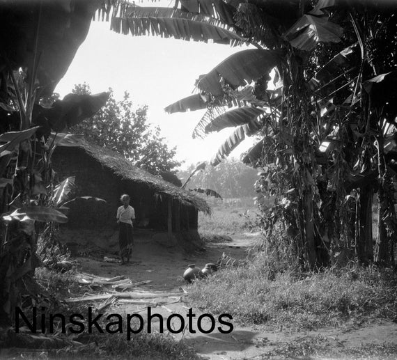 1920s Colombo, Ceylon, Sri Lanka, In the Cinnamon Gardens by J. Dearden Holmes, 1920s antique photo reprint, Vintage Photography