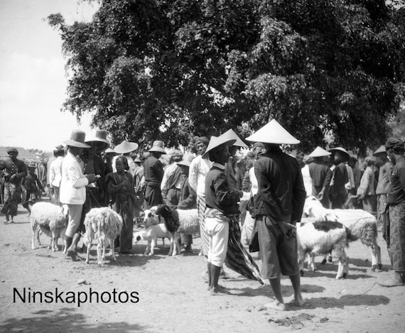 Village Fair - Mendut - Sheep - near Yogyakarta - Java, Indonesia - 1925 - Fine Art Antique Photo Print - BNW - Vintage Photo - 3225