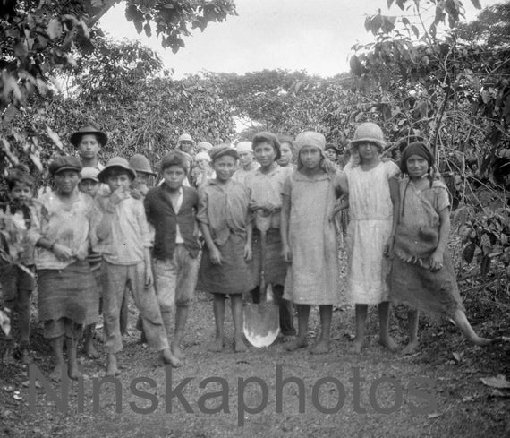 Young Workers on a Coffee Plantation in San Jose, Costa Rica by J. Dearden Holmes, 1920s antique photo reprint