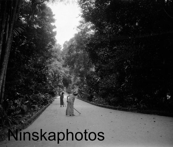 1920s Kandy, Ceylon, Sri Lanka, Peradeniya Royal Botanical Gardens by J. Dearden Holmes, 1920s antique photo reprint, Vintage Photography