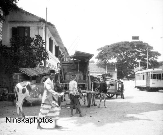 Surabaya Street Scene - Java, Indonesia - 1925 - Fine Art Antique Photo Print - BNW - Vintage Photo - 3092