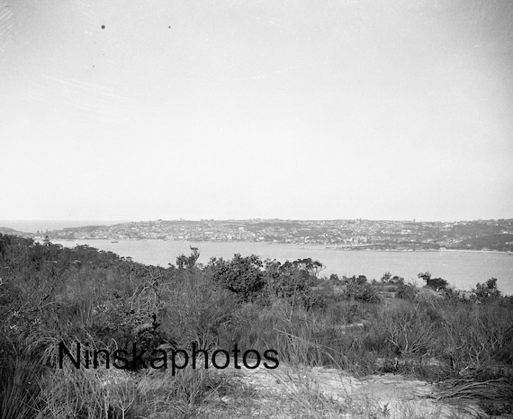1920s Sydney Harbour from the North Side, Australia 1920s Antique Photo Reproduction - Vintage Photography Black and White