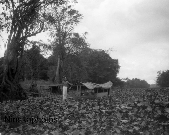Hyacinths blocking the Napoe River, Kalimantan, Borneo, Indonesia - 1925 - Fine Art Antique Photo Print - Vintage Photo - 2961