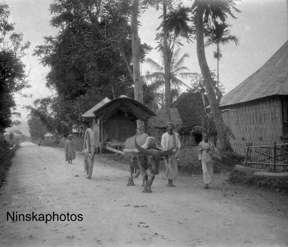Buffalo Cart in the village of Padang Loeur - Sumatra, Indonesia - 1925 - Fine Art Antique Photo Print - Vintage Photo - 3347