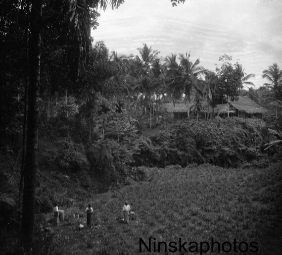 1920s Kandy, Ceylon, Sri Lanka, A Roadside Estate by J. Dearden Holmes, 1920s antique photo reprint, Vintage Photography, Black and White