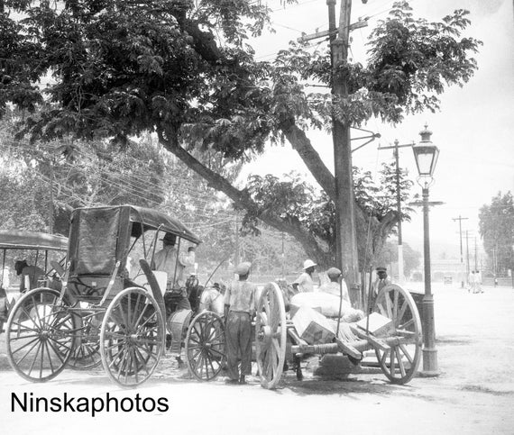 1920s Horses and Carts at a Water Trough, Kingston, Jamaica, Street Scene Photography, 1920s antique photo reprint, Vintage Photo