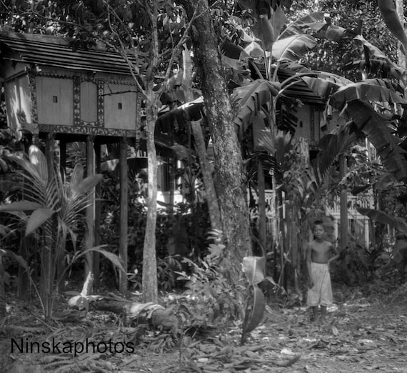 Box containing human bones for festival in Mandomai, Kalimantan, Indonesia - 1925 - Fine Art Antique Photo Print - Vintage Photo - 3000