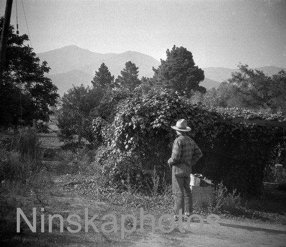 1920s Montecito, California, United States, 1920s antique photo reprint, black and white photo, landscape