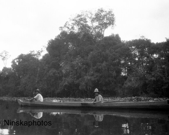Live Crocodile in boat on the Napoe River, Kalimantan, Borneo - Indonesia - 1925 - Fine Art Antique Photo Print - BNW - Vintage Photo - 2965