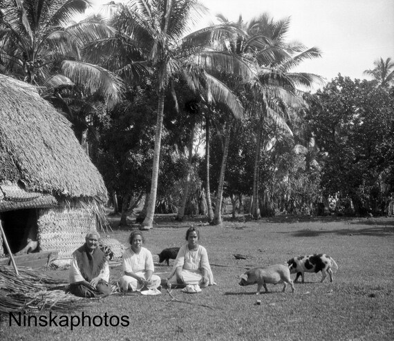 Family with Pigs in Nuku'alofa, Tonga, 1920s antique photo reprint, wall decor, home decor, black and white photography, Pacific Islands