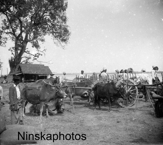 Market Scene in Donabyu, Burma, Myanmar Vintage Photo Reproduction by James Dearden Holmes - Street Photography - Historical