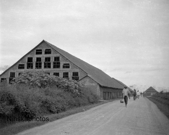 Drying Sheds on Tobacco Plantation near Medan, Sumatra Indonesia - 1925 - Fine Art Antique Photo Print - Vintage Photo - 3656